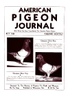 Magazine Cover